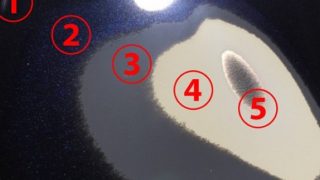 塗装面を鉄板まで研磨してみた