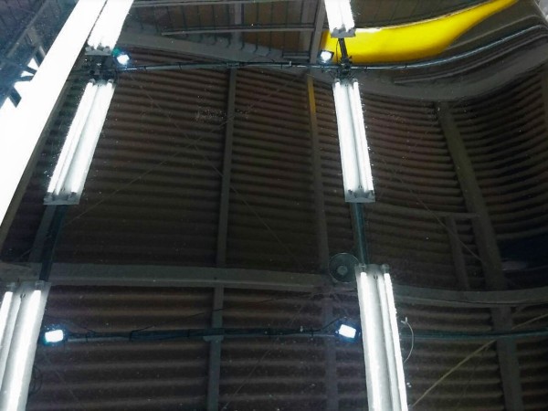 ボンネット研磨後