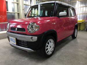 ハスラー・スタンダードコーティング