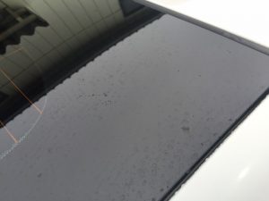 ウロコ取りBefore