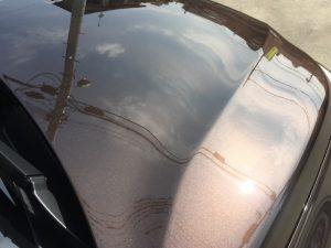 アウトバック・プレミアムコーティング後のボンネット3