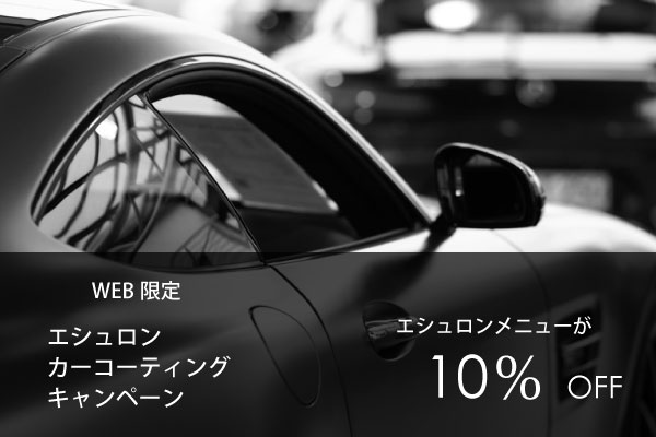 エシュロン・コーティングキャンペーンcoating_head