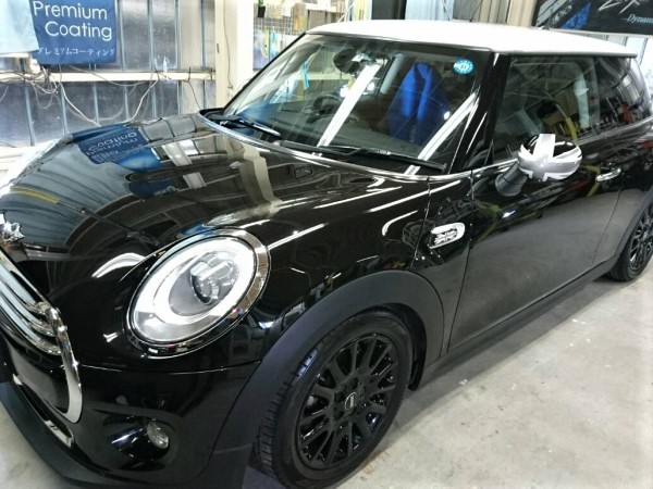 ミニ・ハイドロフィニッシュ